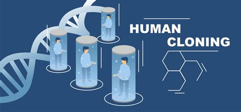 Was human cloning banned?