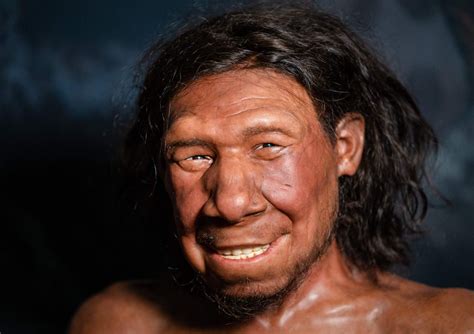 Were Neanderthals more creative than humans?