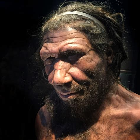 Were Neanderthals thick?