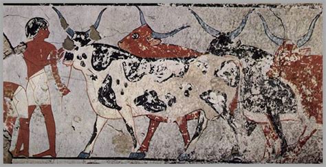 Were cows important in ancient Egypt?