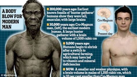 Were early humans stronger?