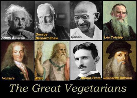 Were humans historically vegetarian?