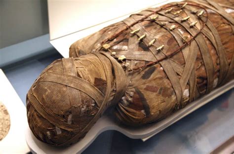 Were onions found in the eyes of an Egyptian mummy?