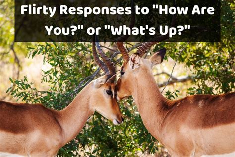 What's a flirty response to how are you?