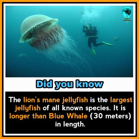 What's a unique fact?