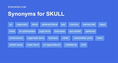 What's another word for skull?