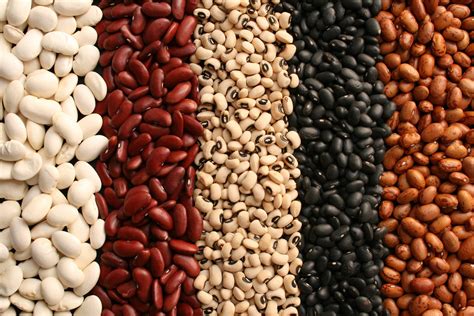 What's in a bean?