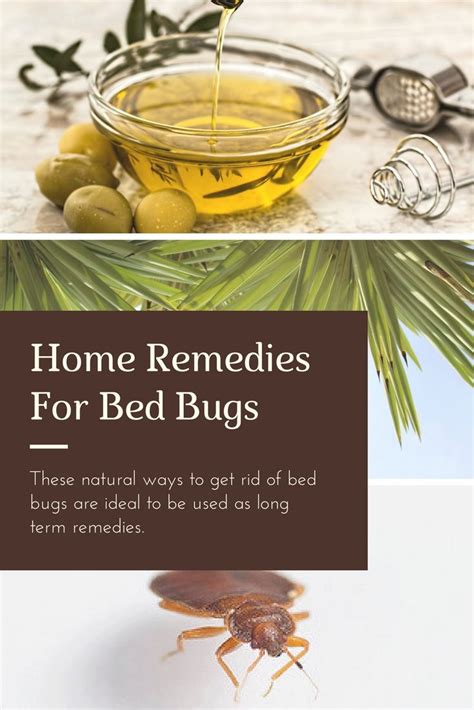 What's the best home remedy to get rid of mites?
