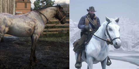 What's the best horse to buy in RDR2?