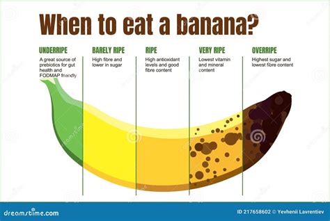 What's the best stage to eat a banana?