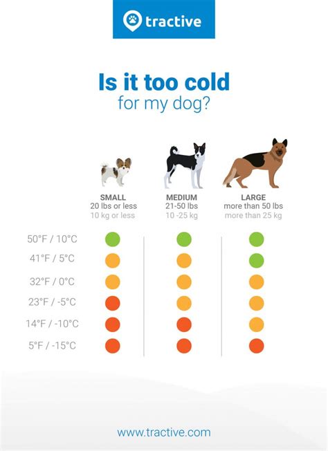 What's the coldest temperature a dog can tolerate?