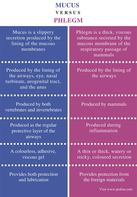 What's the difference between phlegm and mucus?