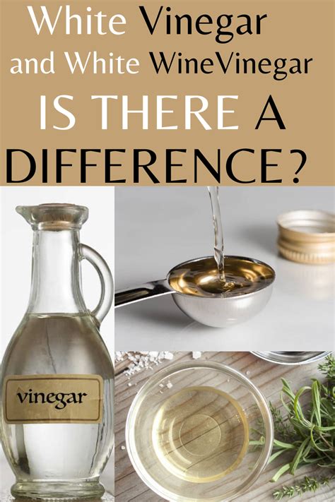 What's the difference between white vinegar and white wine vinegar?