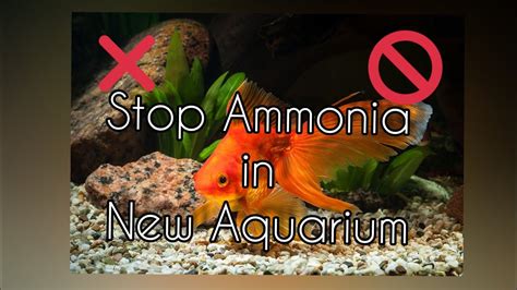 What's the fastest way to get rid of ammonia?