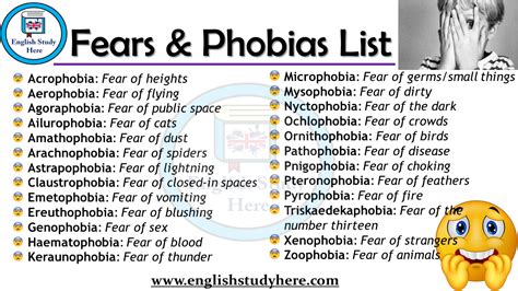 What's the least popular phobia?
