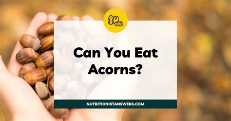 What's the most important thing to do before eating acorns?