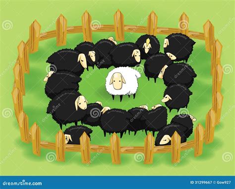 What's the opposite of black sheep?