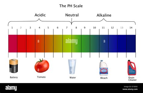 What's the pH of glue?