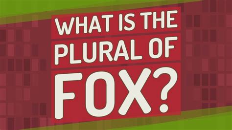 What's the plural for fox?