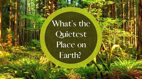 What's the quietest place on earth?
