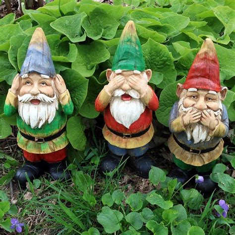 What's up with gnomes?
