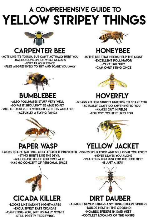 What's worse a bee or wasp sting?