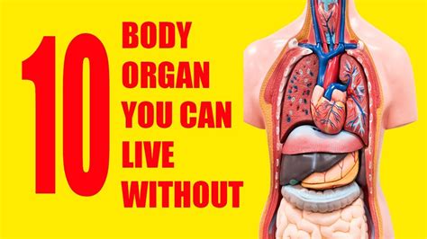 What 12 organs can you live without?