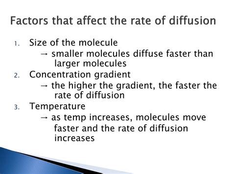 What 2 factors affect cell size?