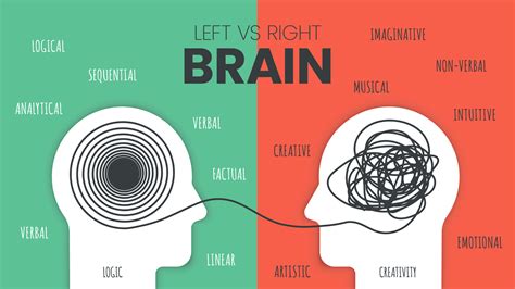 What 5 characteristics do left-brained people have?