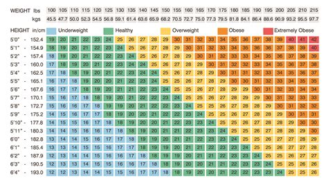 What BMI is hottest?