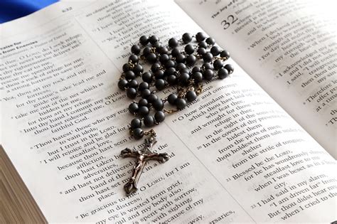 What Bible do Catholics use?