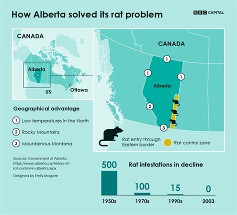 What Canadian city is rat free?