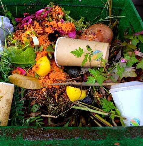 What Cannot be composted?