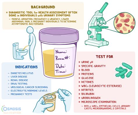 What Cannot be detected in a urine test?