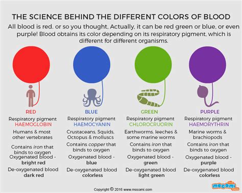 What Colour is human blood in space?