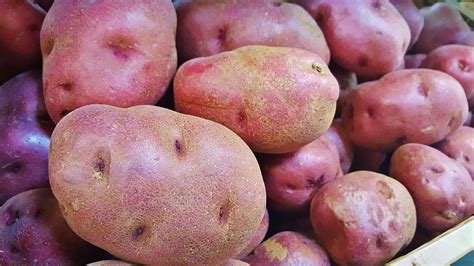 What Colour potato is healthiest?