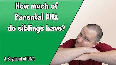 What DNA are siblings?