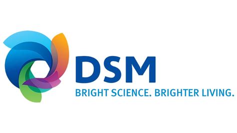 What DSM is it now?