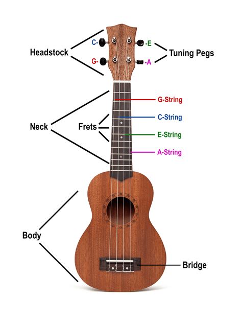 What Hz is low G tuning ukulele?