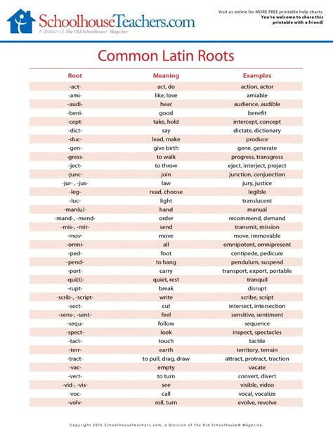 What Latin root means love?