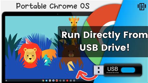 What OS can run from flash drive?