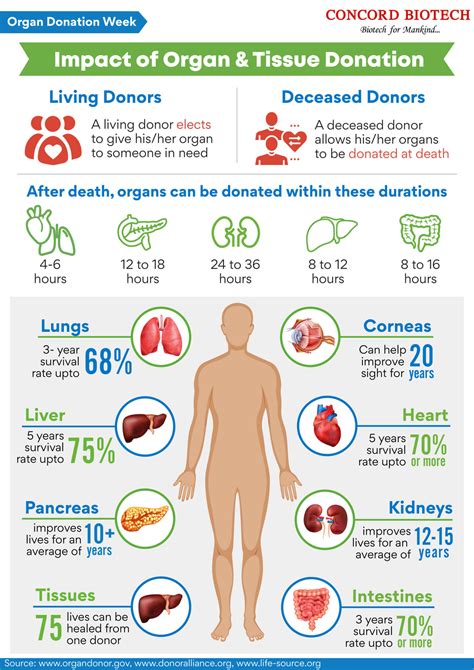 What Organs can be donated after death?