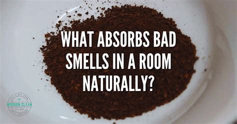 What absorbs bad smells in room?