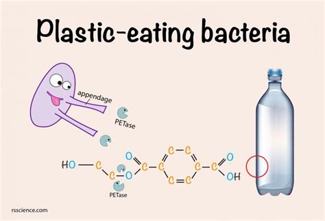 What acid eats plastic?