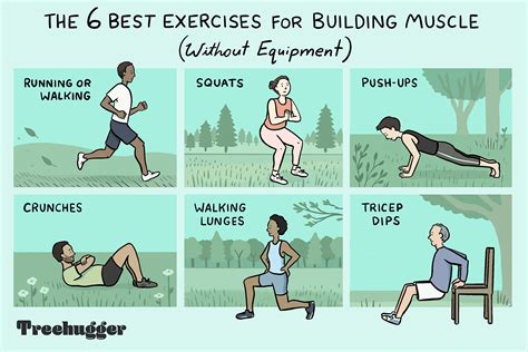 What activities build muscle?