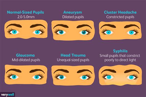 What affects pupil size?