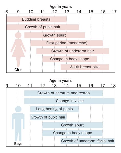 What age do breasts form?