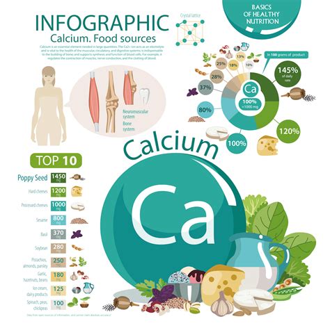 What age does calcium loss begin?