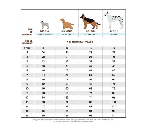 What age is the hardest to own a dog?