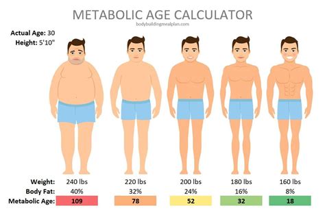 What age is your metabolism fastest?